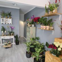 Sarilhos Grandes tem nova florista “Vila Flor”. Mais um passo no comércio local