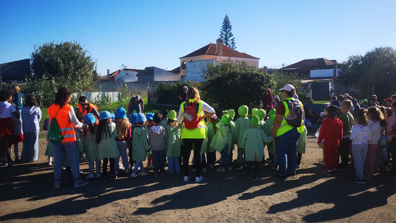 Magusto das escolas de Sarilhos Grandes e da Lançada